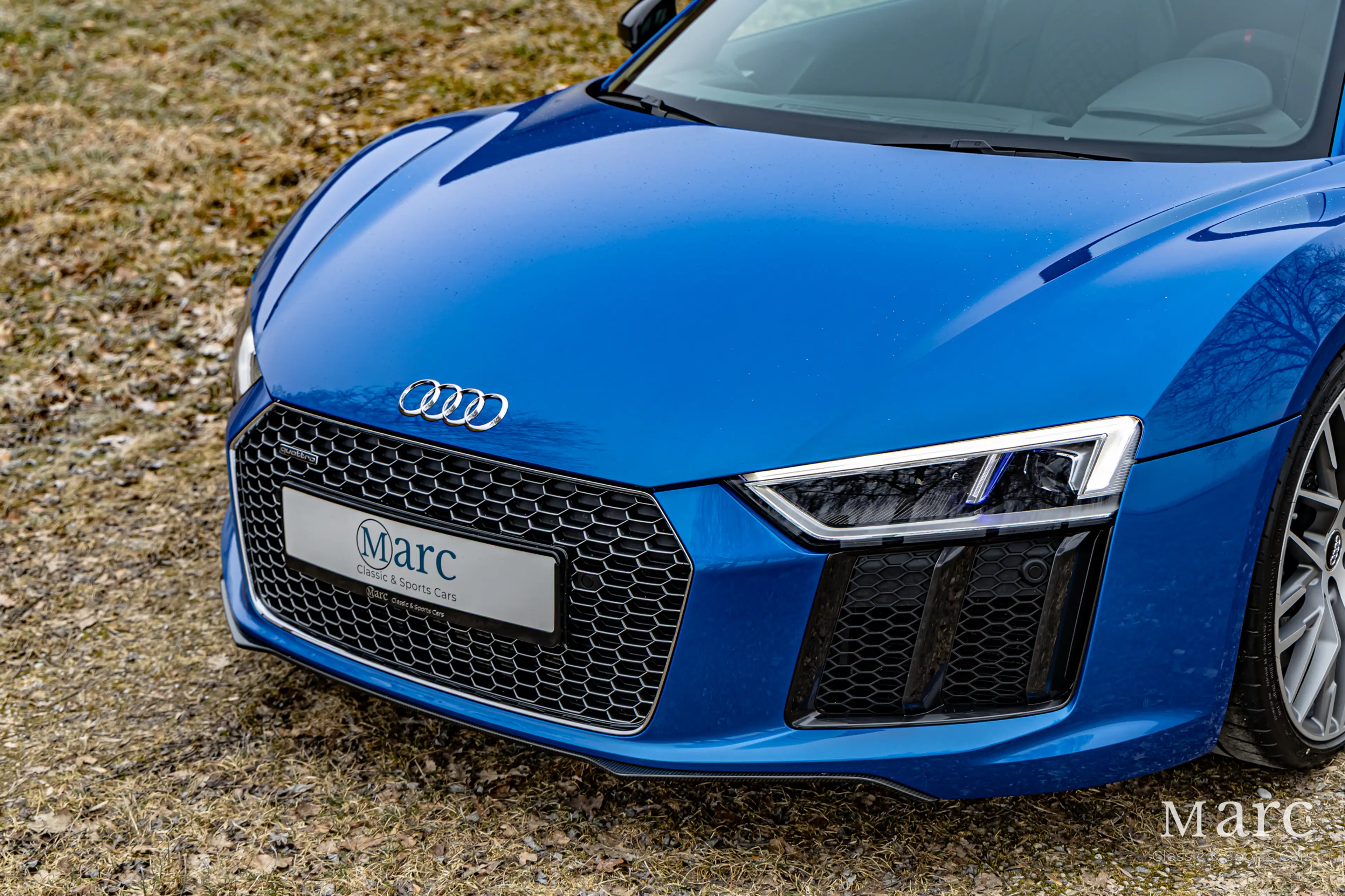 Audi R8 V10 Plus / B&O / Laserlicht / Carbon / VAT — photo 10