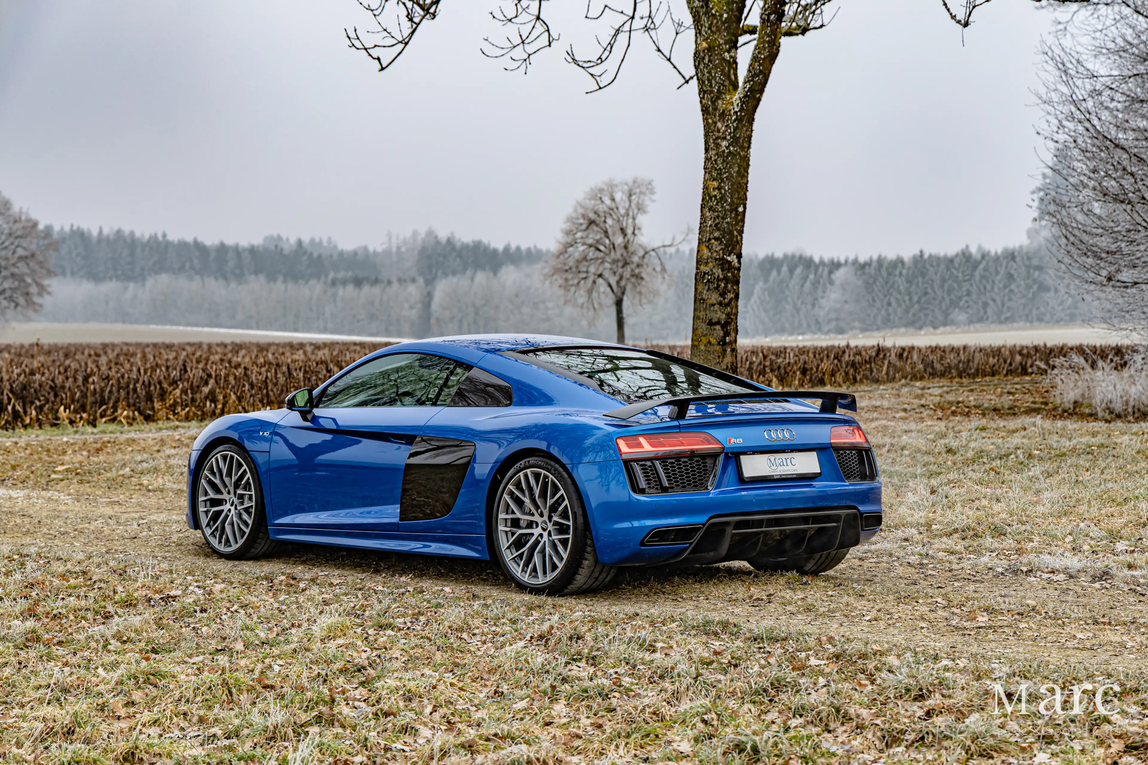 Audi R8 V10 Plus / B&O / Laserlicht / Carbon / VAT — photo 5