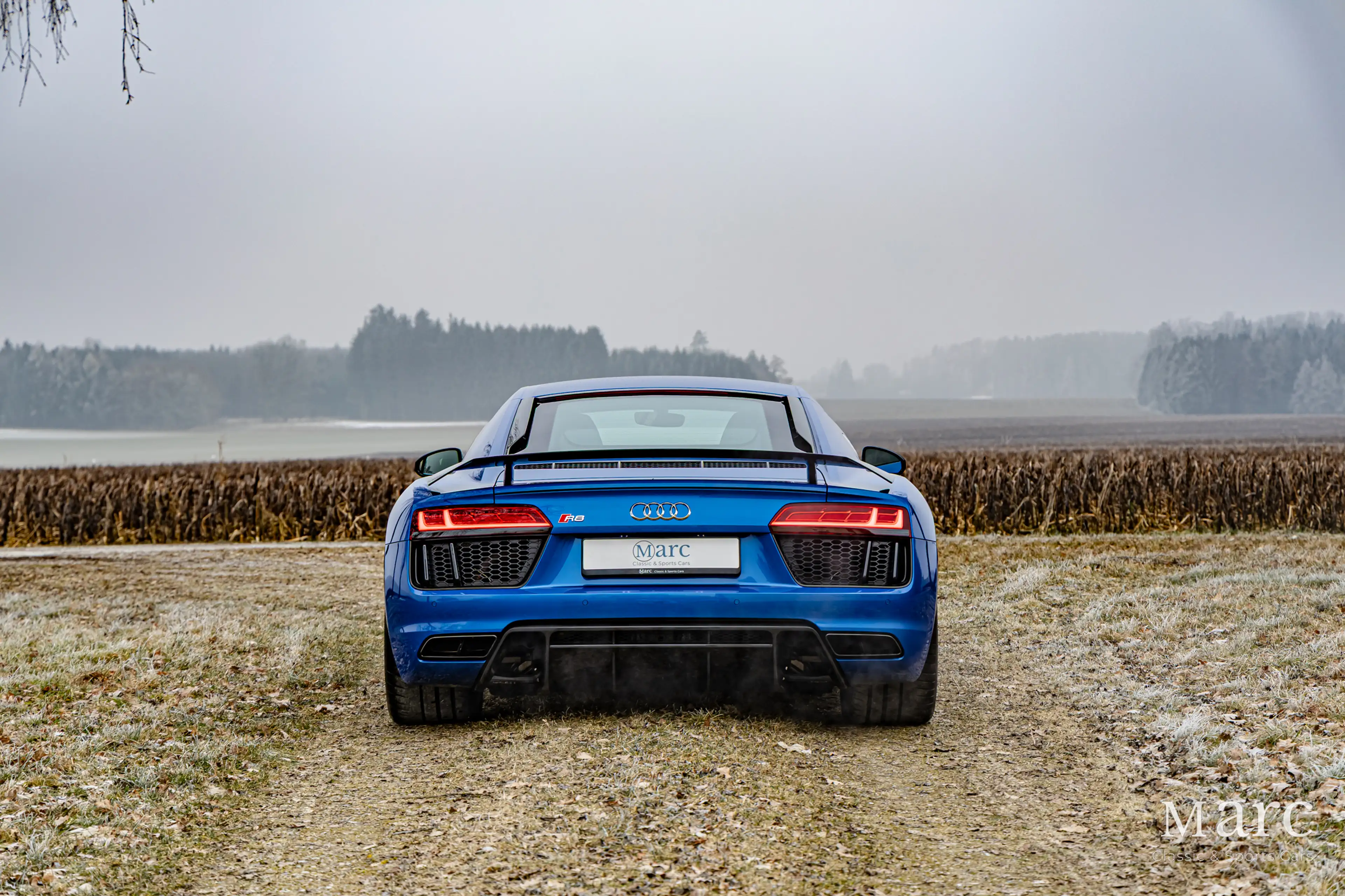 Audi R8 V10 Plus / B&O / Laserlicht / Carbon / VAT — photo 7