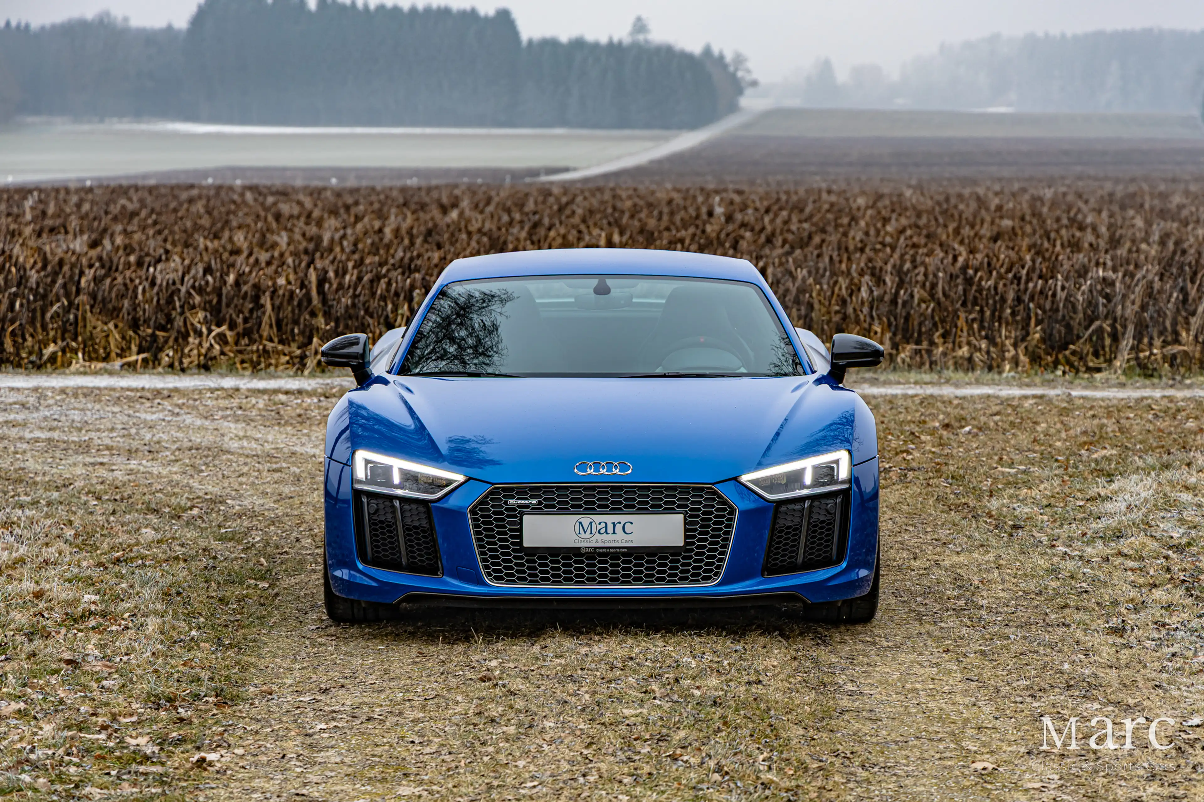 Audi R8 V10 Plus / B&O / Laserlicht / Carbon / VAT — photo 6