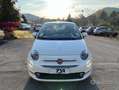 Fiat 500 Bianco - thumbnail 7