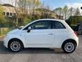 Fiat 500 Bianco - thumbnail 2