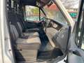 Iveco Sonstige Daily 5 Pritsche L2 - TÜV NEU - 2. HAND - AHK Weiß - thumbnail 9