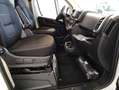 Peugeot Boxer Trasporto Disabili con Sollevatore BlueHdi 140 S&S Bianco - thumbnail 8