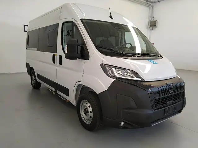 Peugeot Boxer Trasporto Disabili con Sollevatore BlueHdi 140 S&S