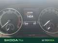Skoda Fabia 1.0 mpi twin color argento 60cv my19 Gris - thumbnail 9