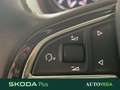Skoda Fabia 1.0 mpi twin color argento 60cv my19 Gris - thumbnail 14