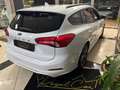 Ford Focus 1.5 EcoBlue 120 CV SW ST-Line Bianco - thumbnail 6