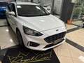 Ford Focus 1.5 EcoBlue 120 CV SW ST-Line Bianco - thumbnail 3