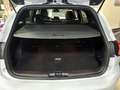 Ford Focus 1.5 EcoBlue 120 CV SW ST-Line Bianco - thumbnail 15