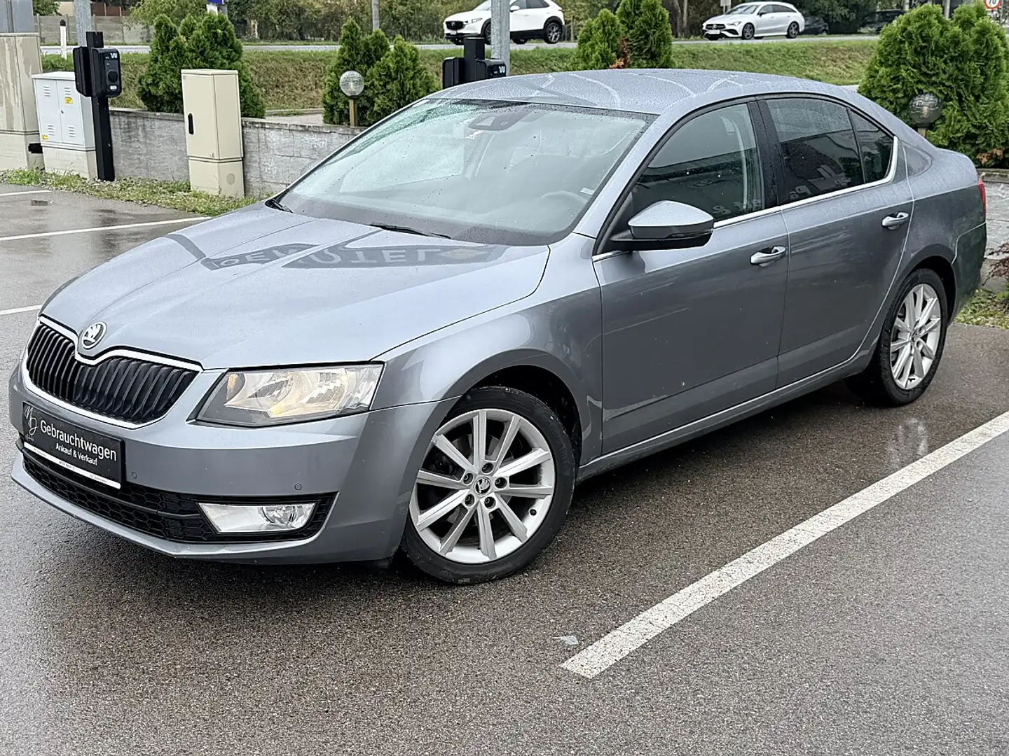 Skoda Octavia 1,6 Elegance TDI Green tec Grau - 1