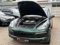 Porsche Cayenne 3.0 Diesel*ALLRAD*4SH*STH*ACC*XEN*SD*22" Verde - thumbnail 4