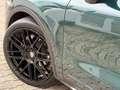 Porsche Cayenne 3.0 Diesel*ALLRAD*4SH*STH*ACC*XEN*SD*22" Verde - thumbnail 7