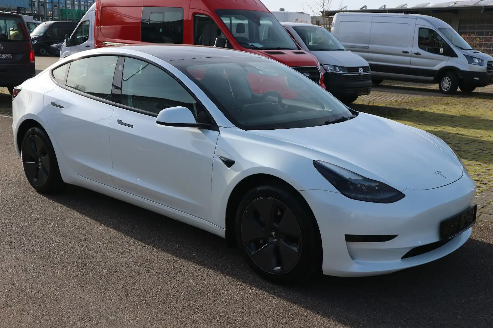 Tesla Model 3 RWD Panoramadach 360°Kamera Leder Weiß - 2