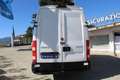 Iveco Daily 35S11 Pari al nuovo Bianco - thumbnail 5