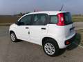 Fiat Panda Panda III 0.9 t.air t. natural power Easy Blanc - thumbnail 2