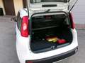 Fiat Panda Panda III 0.9 t.air t. natural power Easy Blanc - thumbnail 10