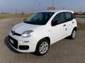 Fiat Panda Panda III 0.9 t.air t. natural power Easy Blanc - thumbnail 1