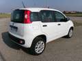 Fiat Panda Panda III 0.9 t.air t. natural power Easy Blanc - thumbnail 6