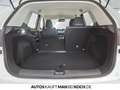 MG ZS MG ZS HEV LUX ACC 360 SHZ White Blanco - thumbnail 8