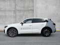 Volkswagen Touareg 3.0 TDI 4M Elegance MATRIX LEDER ACC Weiß - thumbnail 3