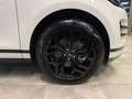 Land Rover Range Rover Evoque 2.0D I4 163 CV AWD AUTO R-DYNAMIC S *UNIPROP* Weiß - thumbnail 6