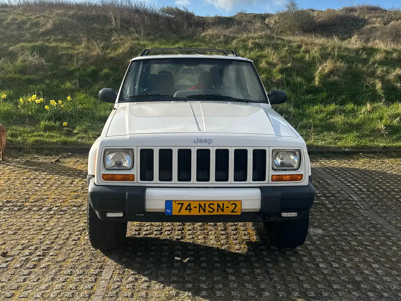 Jeep Cherokee 2.5 60th Anniversary, foto 3