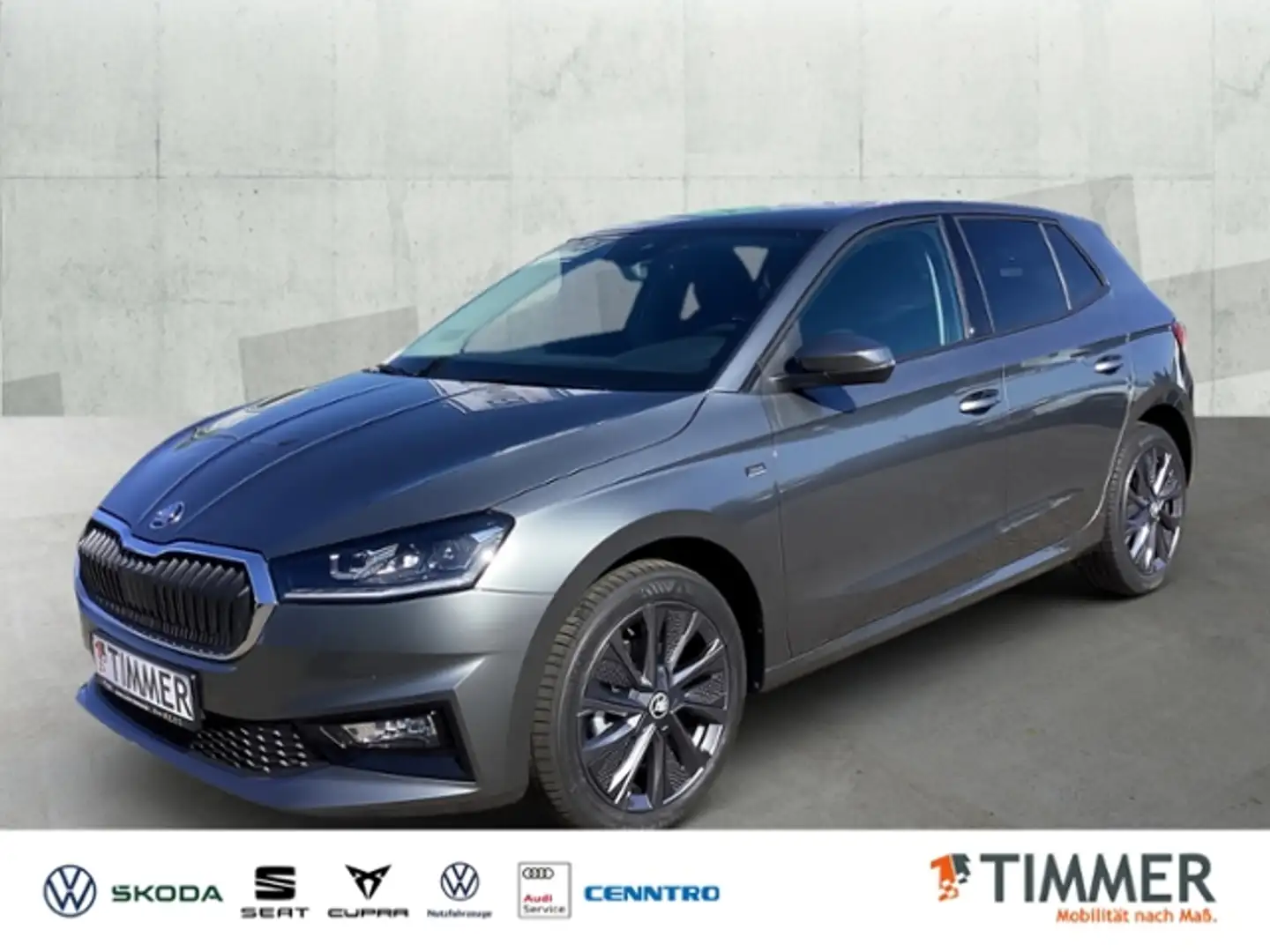Skoda Fabia 1,0 TSI DSG Selection AHK*Assist.Plus*Wint Grau - 1