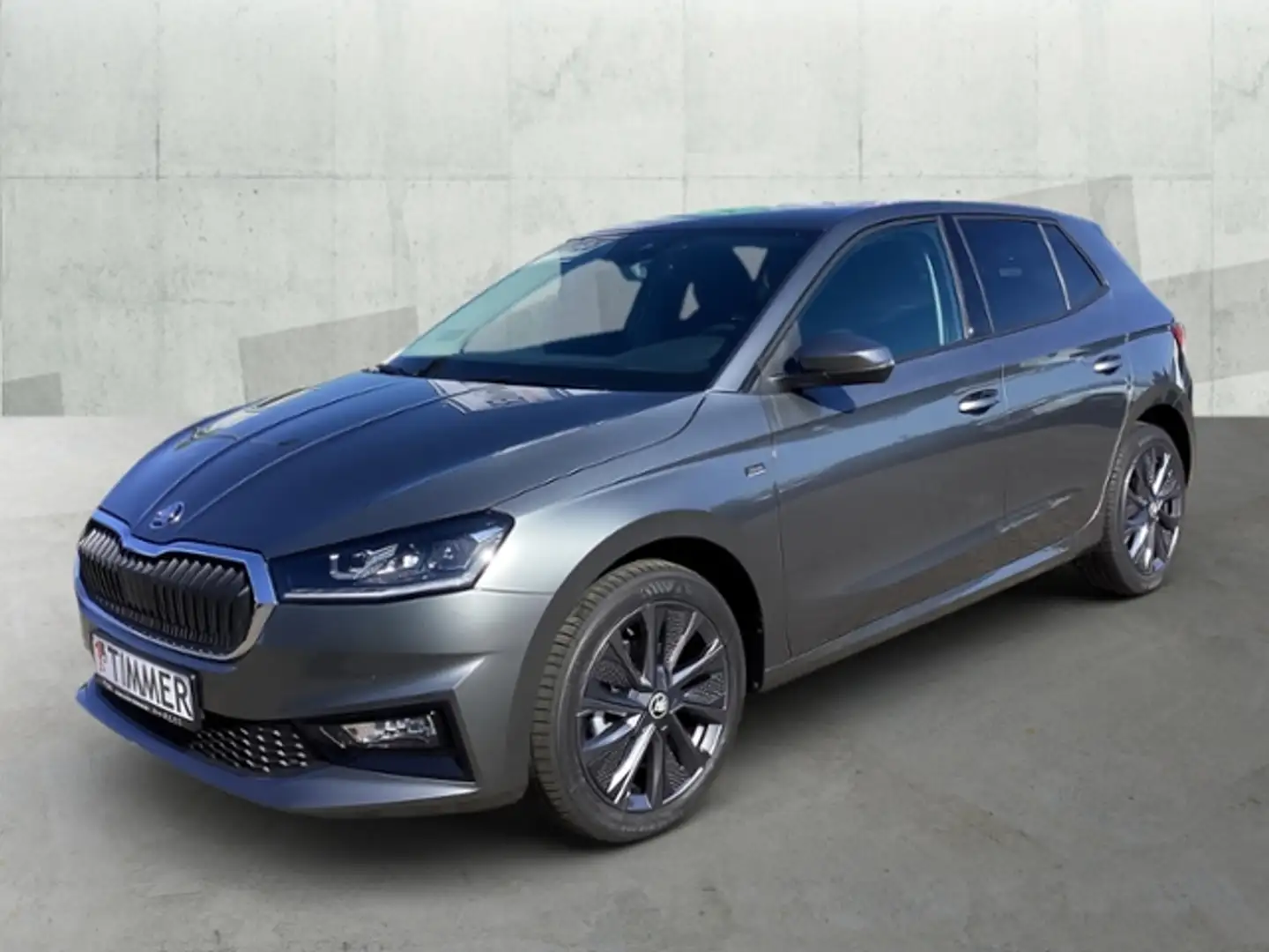 Skoda Fabia 1,0 TSI DSG Selection AHK*Assist.Plus*Wint Grau - 2