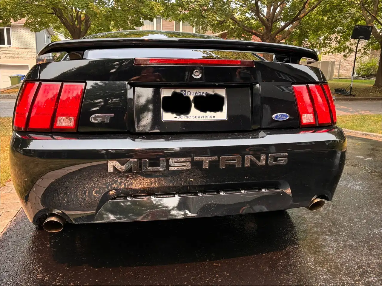Ford Mustang fotografie Ford Mustang