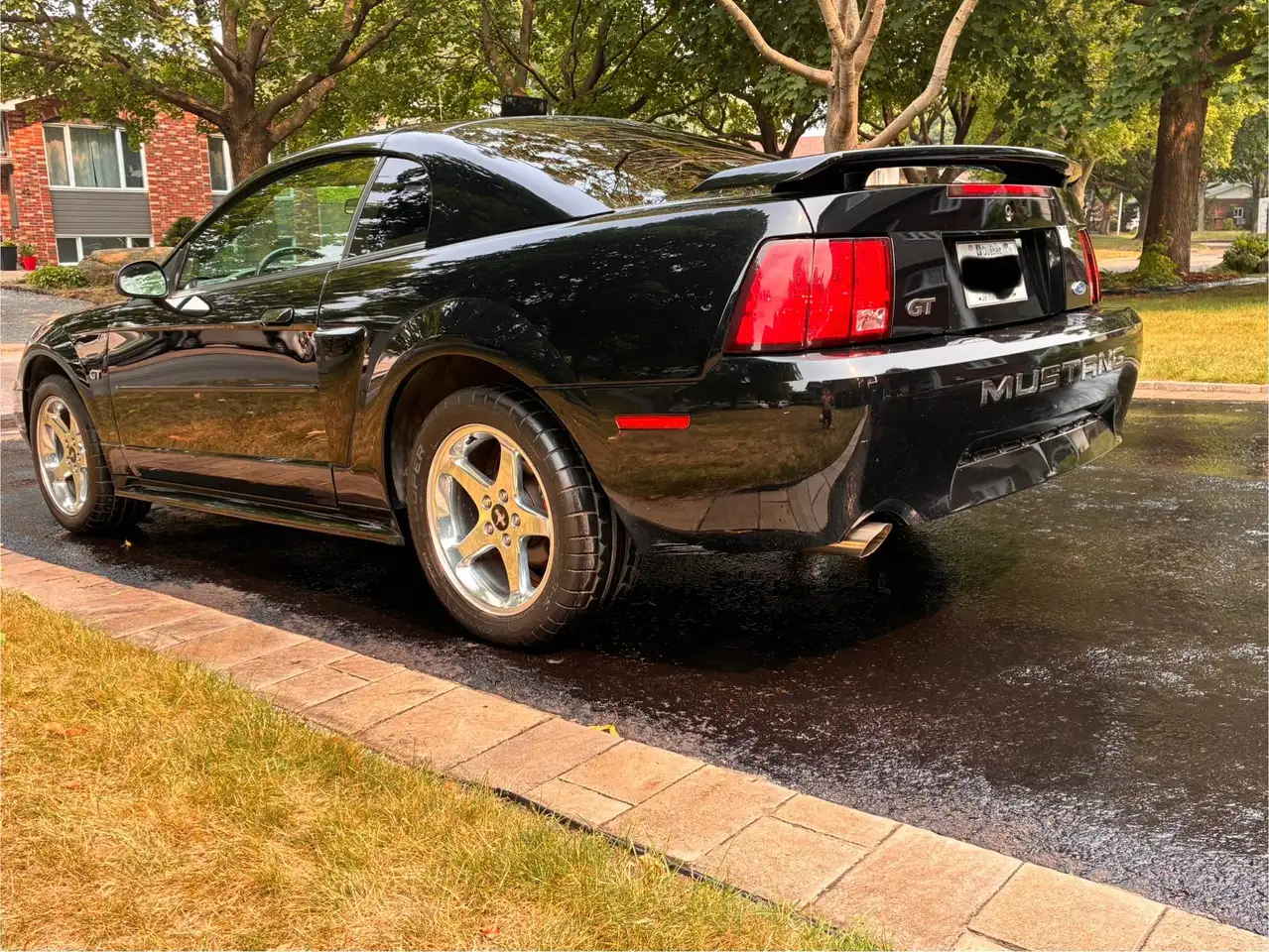 Ford Mustang fotografie Ford Mustang