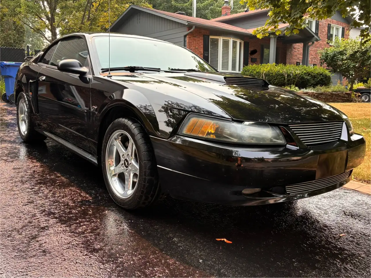 2003 Ford Mustang