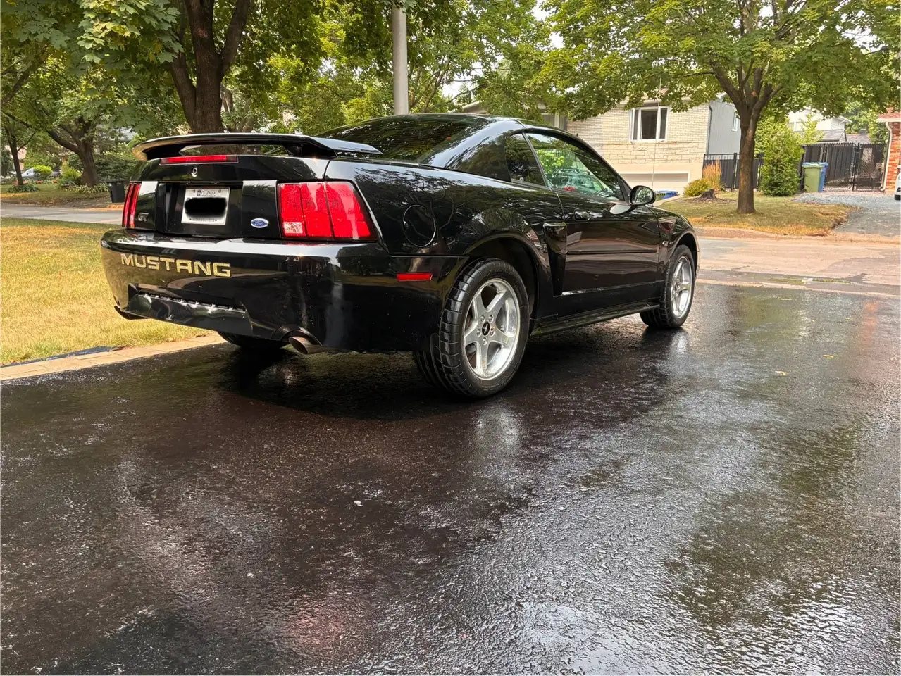 Ford Mustang fotografie Ford Mustang