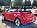 Volkswagen Beetle Beetle Cabriolet 2.0 TSI Autom. Kessy, Navi-App Rot - thumbnail 13