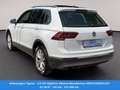 Volkswagen Tiguan 2.0 TDI Highline 4MotionBlueMotion SERVICEGEPFLEGT Weiß - thumbnail 6