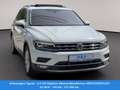 Volkswagen Tiguan 2.0 TDI Highline 4MotionBlueMotion SERVICEGEPFLEGT Weiß - thumbnail 3