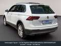 Volkswagen Tiguan 2.0 TDI Highline 4MotionBlueMotion SERVICEGEPFLEGT Weiß - thumbnail 6