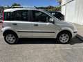 Fiat Panda 1.4 77cv  Euro 5 Distributore Appena Fatta Neop - thumbnail 2