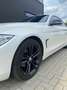 BMW 420 420 Sport Wit - thumbnail 12