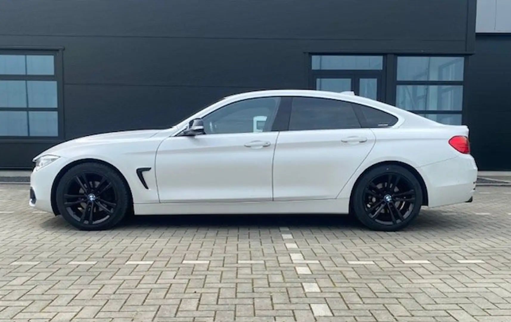 BMW 420 420 Sport Wit - 2