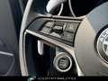Alfa Romeo Stelvio 2.2 Turbodiesel 190 CV AT8 RWD Business Grigio - thumbnail 13