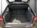 Skoda Superb 2.0 TDI 4x4 LED+LEDER+NAVI+RADAR+STANDHZG Schwarz - thumbnail 17