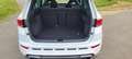 CUPRA Ateca Ateca 2.0 TSI 4Drive DSG Weiß - thumbnail 13