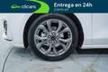 Ford Focus 1.0 Ecoboost MHEV ST-Line X 125 Blanco - thumbnail 11