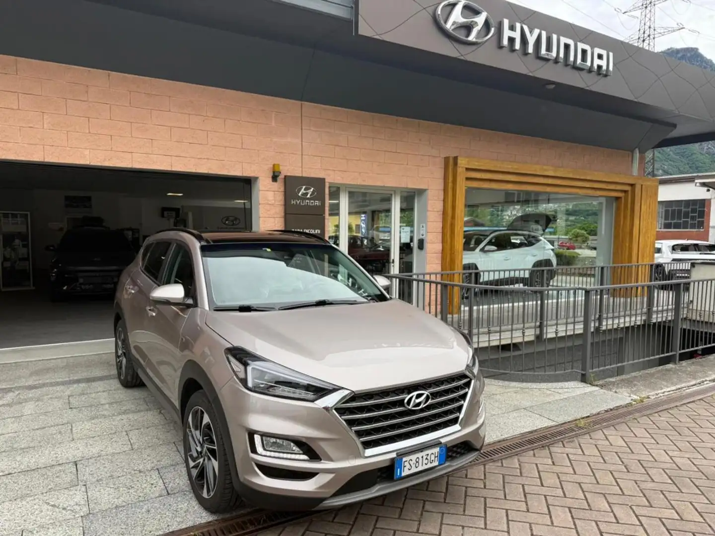 Hyundai TUCSON 2.0 CRDi 185CV 48V 4WD aut. Exellence Beige - 1