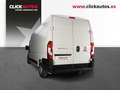 Fiat Ducato 2.2 MJET 140CV 35 L3 H2 Blanco - thumbnail 5