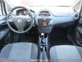 Fiat Punto 1.2 69cv 5 porte Street Alb - thumbnail 6