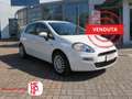 Fiat Punto 1.2 69cv 5 porte Street Alb - thumbnail 1