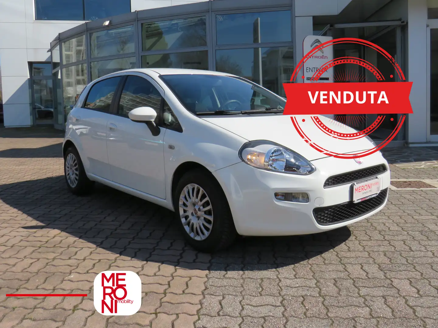 Fiat Punto 1.2 69cv 5 porte Street Alb - 1