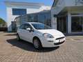 Fiat Punto 1.2 69cv 5 porte Street Alb - thumbnail 13